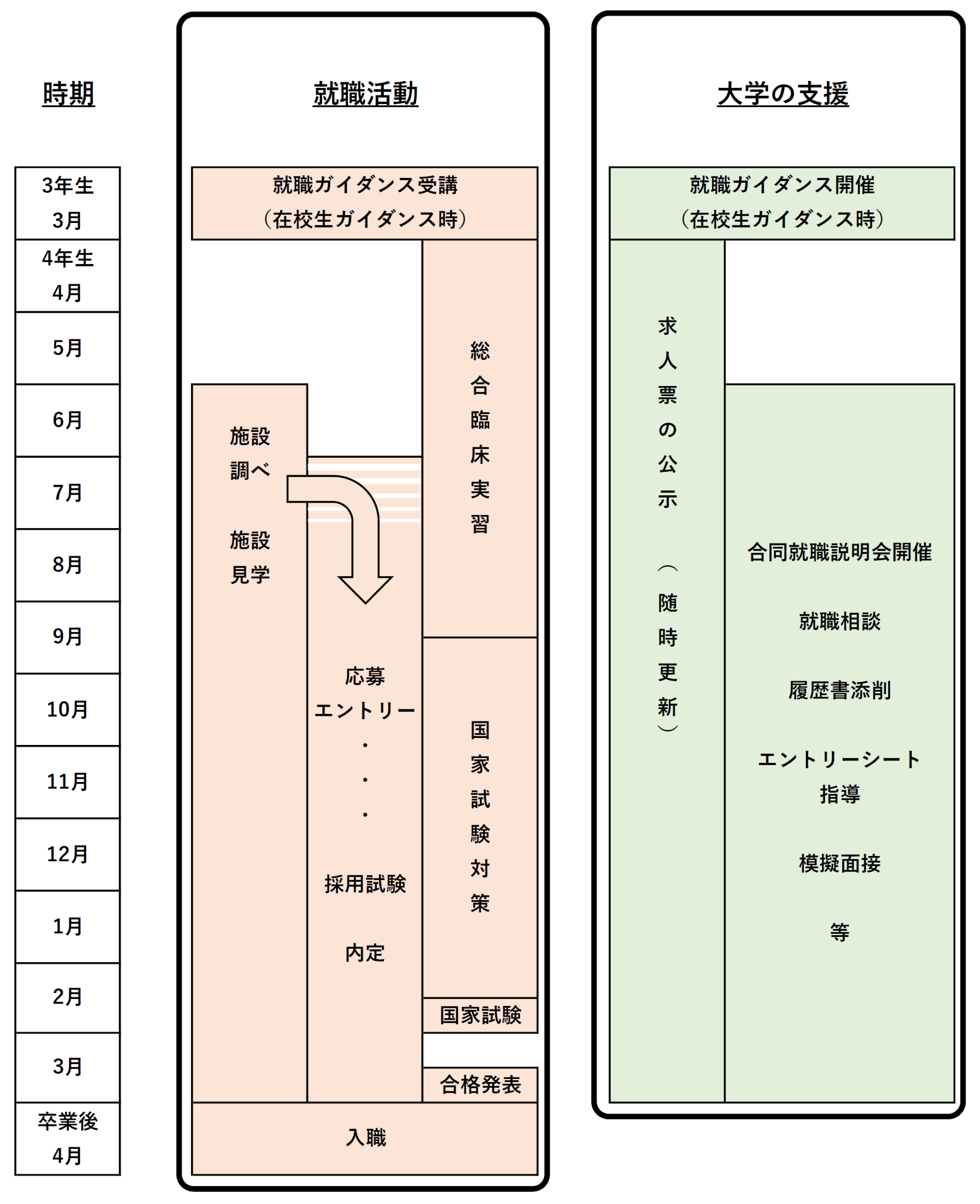 リハビリテーション学科の就職支援表