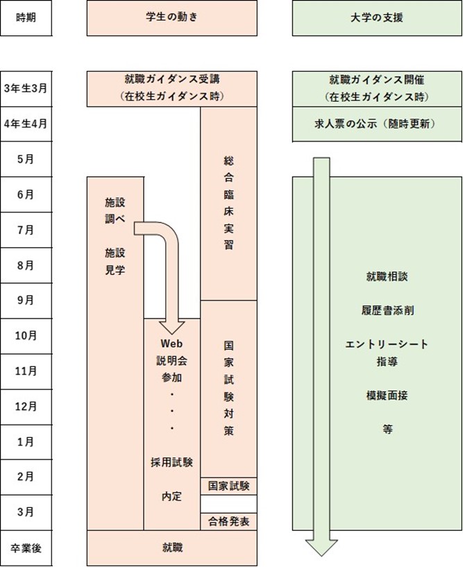 リハビリテーション学科の就職支援表